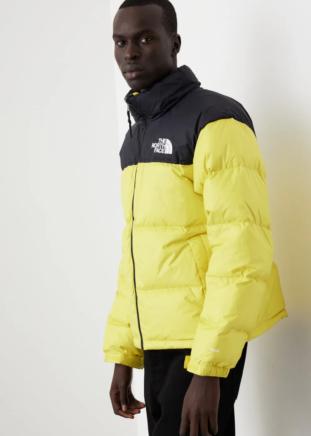 1996 Retro Nuptse Jacket
