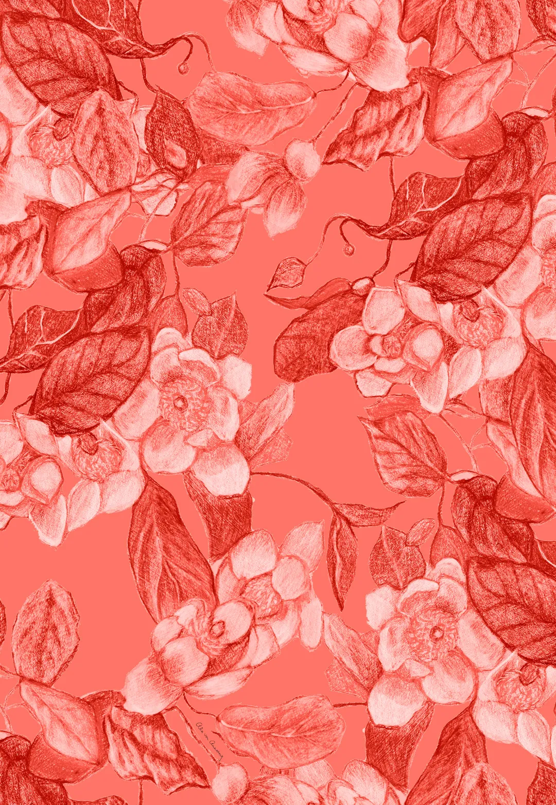 Fiona Cotton Shirtdress in Coral Grandiflora