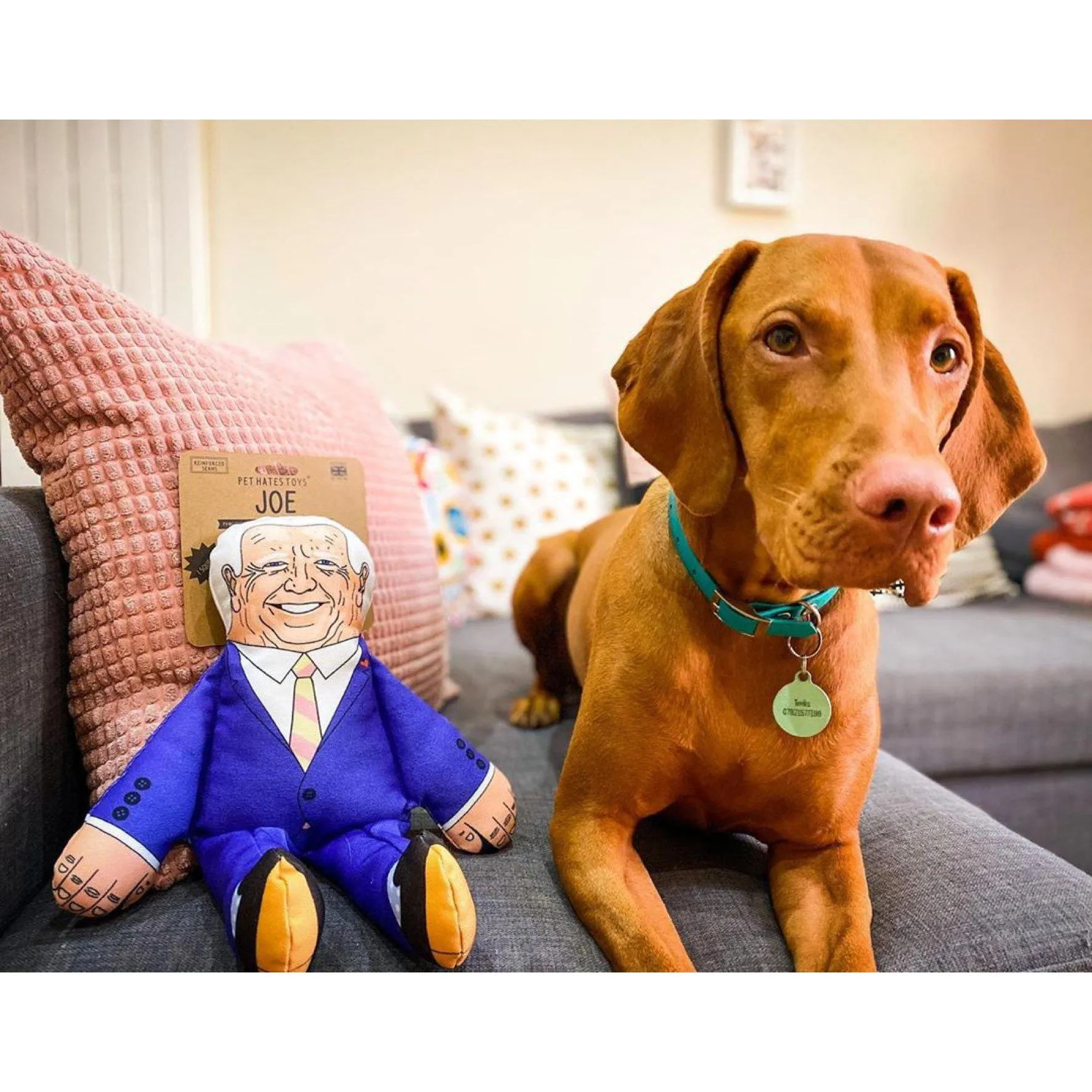 Pet Hates | Joe Biden - Dog Toy